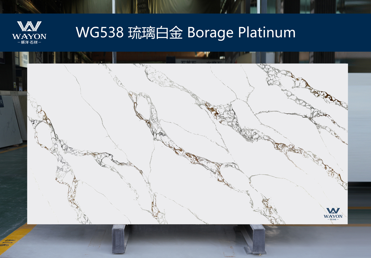 WG538  Borage Platinum