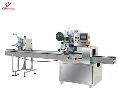 HS250 Rice Pillow Type Packaging Machine