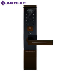 Смарт-сканер отпечатков пальцев Античные дверные замки | J2011-01
