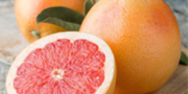 Natural Citrus extract Nootkatone | citrus polyphenols