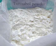 Poudre de stéroïde brute Oral Turinabol / 4-Chlordehydromethyltestosterone CAS 2446-23-2