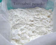 Polvo de esteroide crudo Oral Turinabol / 4-Chlordehydromethyltestosterone CAS 2446-23-2