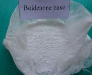 Bodybuilding Ciclo de corte Esteroides en polvo Boldenone Base / Dehidrotestosterona CAS 846-48-0