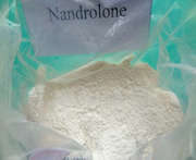 Bulking Cycle Steroid Nandrolone Base / Norandrostenolone for Muscle Growth CAS 434-22-0