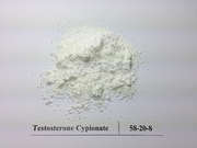 Testosterone Steroid Raw powders 99% Testosterone Cypionate CAS:58-20-8 White Crystal powder