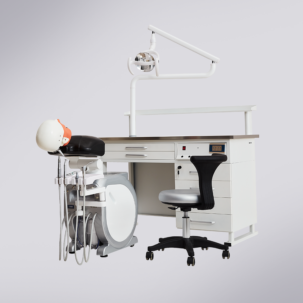 T. MASTER Dental Simulator/Phantom Head System
