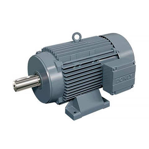 Variable frequency speed adjustable induction motor