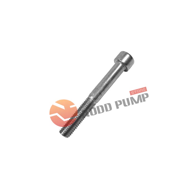 Cap Screw SS304 V-P24-208 Fits Versa-Matic pumps