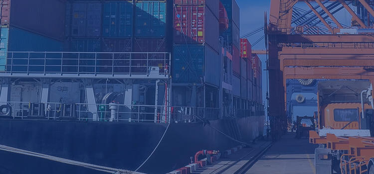 What is the electric amplifier in Ocean Freight?