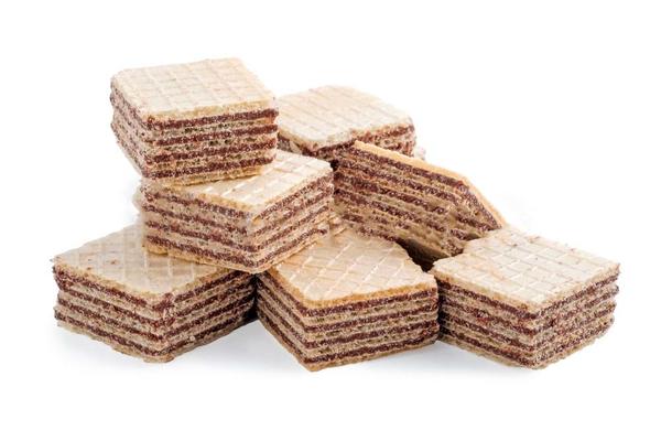 what is wafer biscuit?