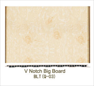V noth big board BLT(Q-03)