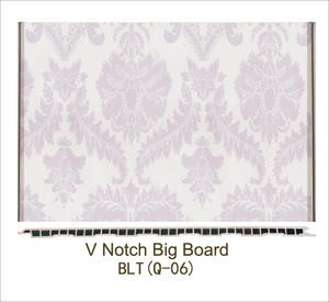 V Noth Big Board BLT(Q-06)