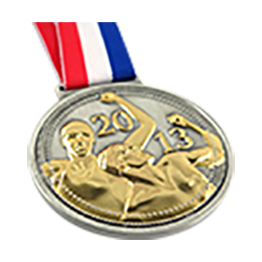עיצוב מדליות פרסים