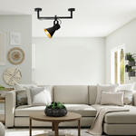 CL-19006 Industrial Horns Ceiling Lamp