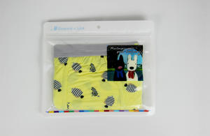 Custom Printed Cheap Plastic Underwear Packaging Bag Zippered Pouch Bag 