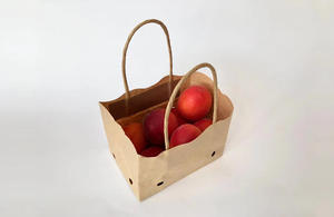 Wet Strength Apricot Paper Bag With Vent Holes And Twisted Handle