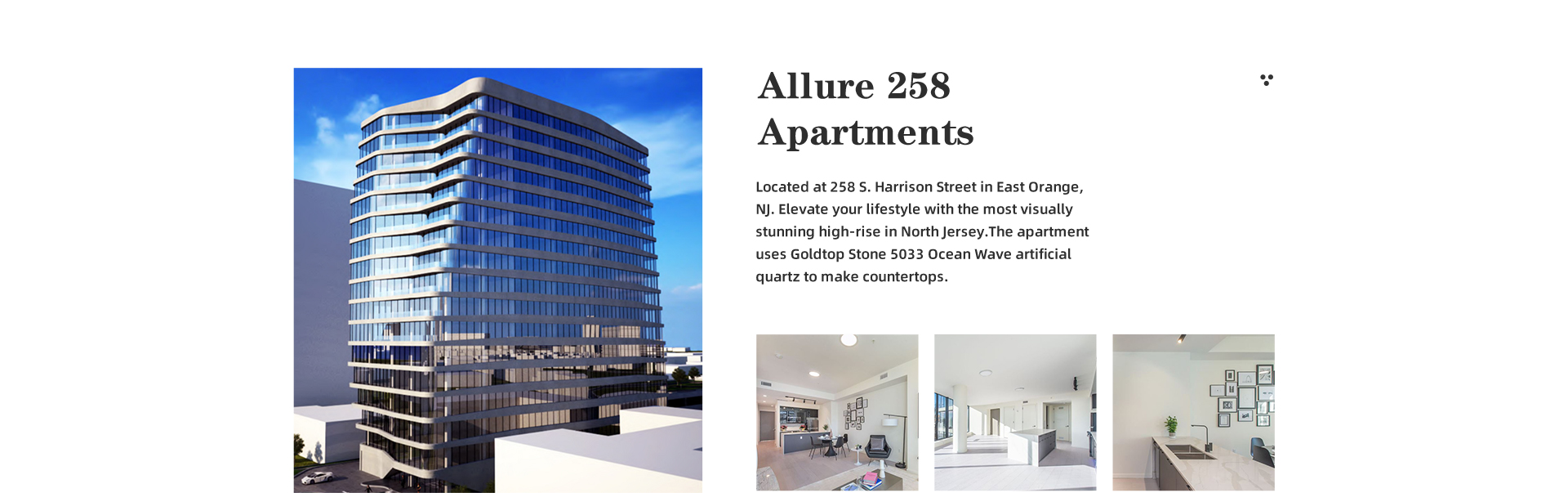 Located at 258 S. Harrison Street in East Orange,  NJ. Elevate your lifestyle with the most visually  stunning high-rise in North Jersey.The apartment  uses Goldtop Stone 5033 Ocean Wave artificial  quartz to make countertops.