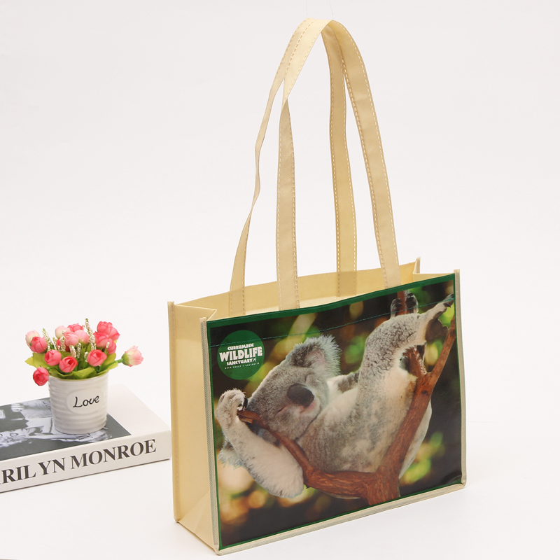 High quality load bearing lamination material pp non woven tote shopping bag