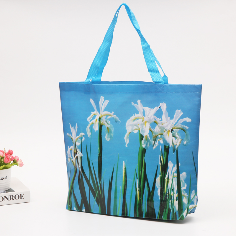 Reusable Polypropylene Packaging Laminated Eco Non Woven Carry Bag Shopping Tote  Bag