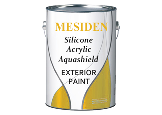 Exterior Emulsion Wall Paint - E4