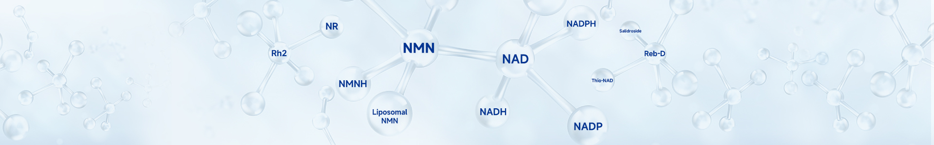 NADH（原料） β-煙醯胺腺嘌呤二核苷酸（還原形式）