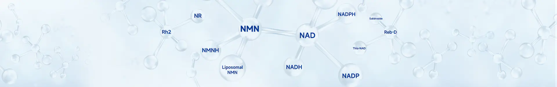 S-NAD (Raw Material) Thionicotinamide Adenine Dinucleotide