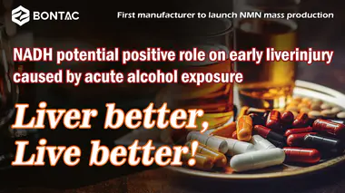 NADH對急性酒精暴露引起的早期肝損傷的潛在積極作用