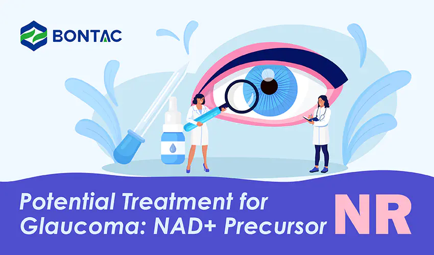 Potential Treatment for Glaucoma: NAD+ Precursor NR