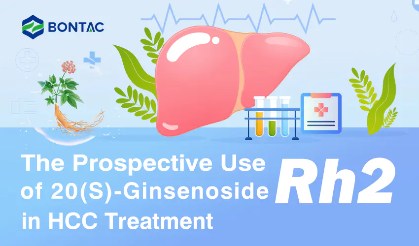 Проспективната употреба на 20(S)-гинзенозид Rh2 при лечение на HCC