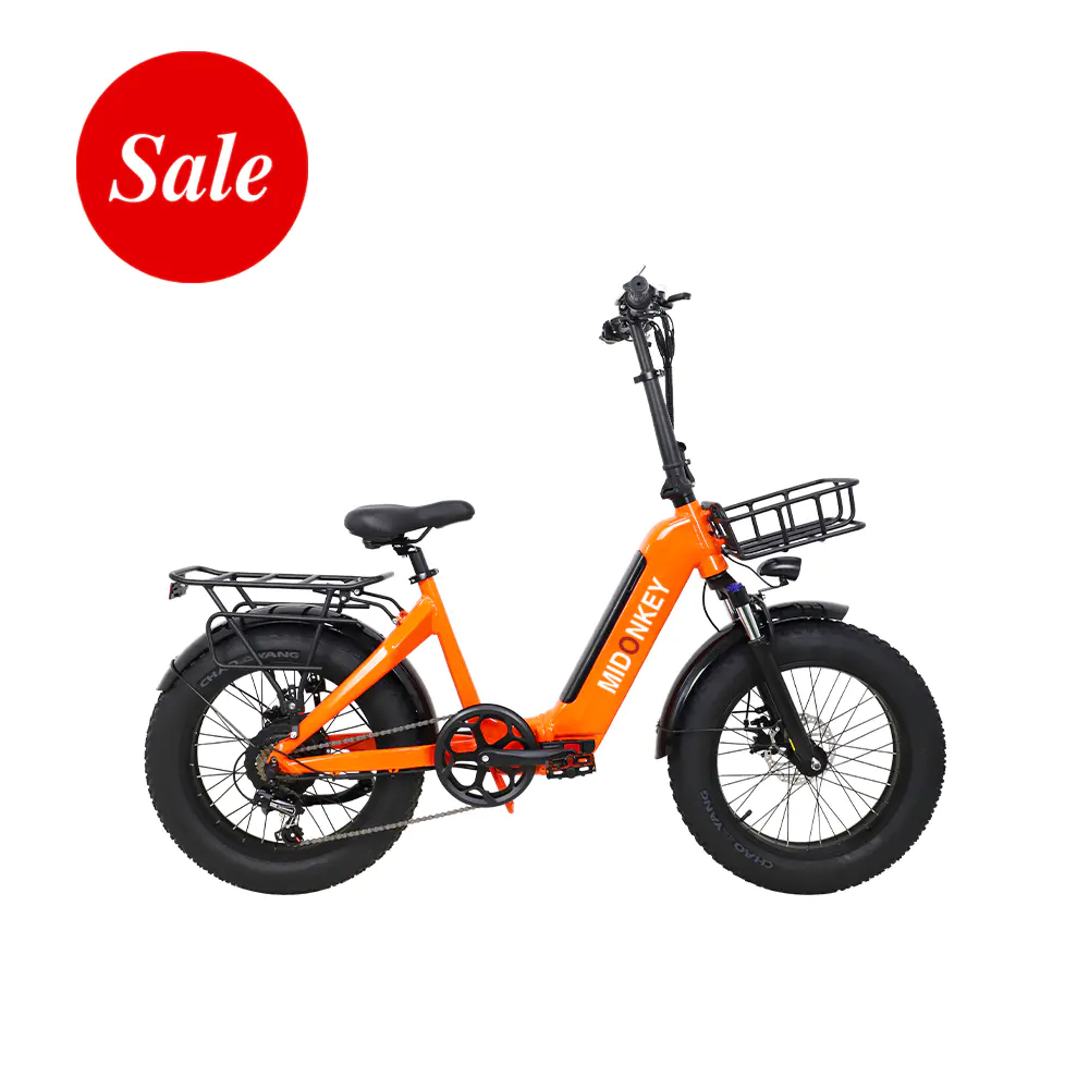 Alani 20 tum 500W Orange Color Fat Tire Steg genom vuxna elektrisk hopfällbar cykel