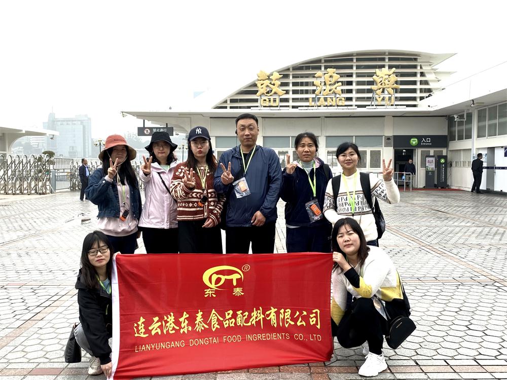 2019 Sales Department Christmas Trip to Xiamen