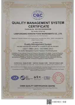 ISO9001s