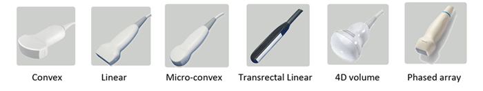 Sondas ultrasónicas opcionales para ultrasonido Doppler digital veterinario a color ES240V
