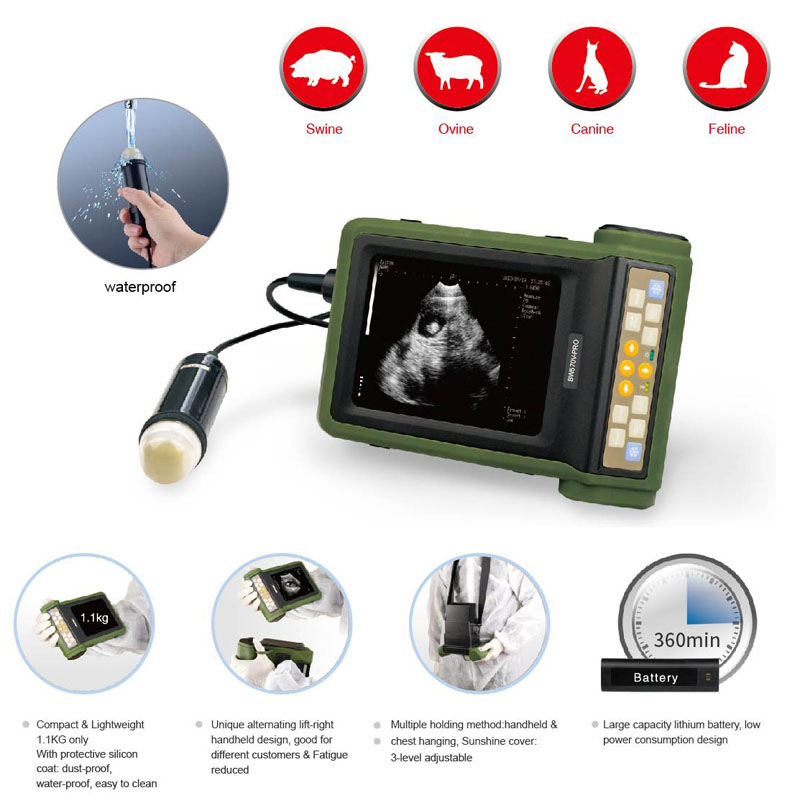 BW570V-pro ultrasonido veterinario digital adecuado para imágenes de cerdo, oveja, cabra, perro, gato, conejo, etc.