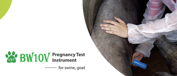 Bondway BW10V Probador de embarazo para cerdo, oveja, cabra