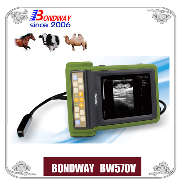 equine ultrasound
 cattle ultrasound
 veterinary ultrasound
 Easiscan