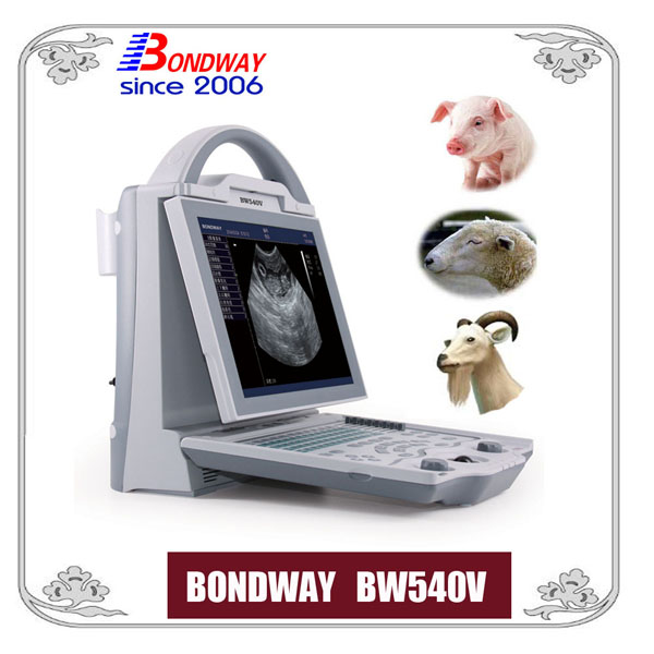 veterinary ultrasound
