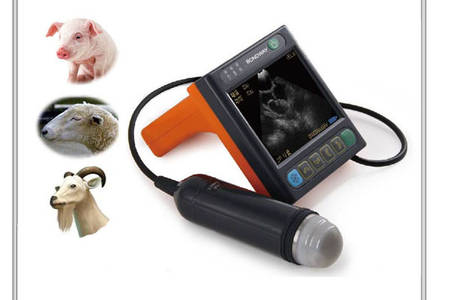 ultrasound for farm animals