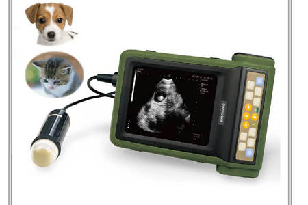 máquina de ultrasonido veterinario