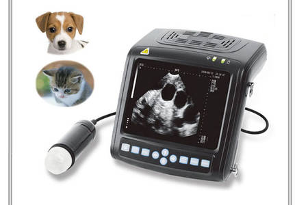 Vet ultrasound scanner
