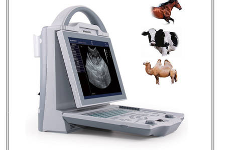 máquina de ultrasonido veterinario