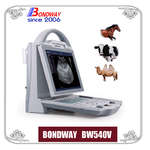 Máquina de ultrasonido veterinario para equinos, bovinos, camellos