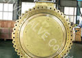 Marine Lugged Type Metal Seated Aluminum Bronze Butterfly Valve