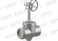 Cryogenic Butterfly Valve