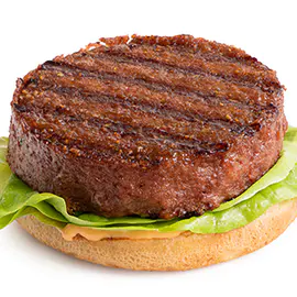 Burger vegetarian/vegan