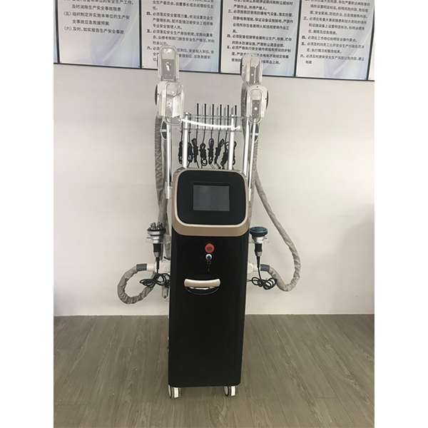 BPM-SB06 New Cryolipolysis Slimming Machine