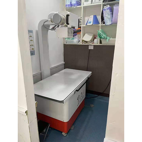 BPM-FR20V Vet Floor-mounted X-ray Machine