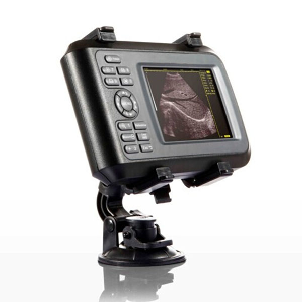 BPM-BU10V Handheld Ultrasound Scanner for Veterinary