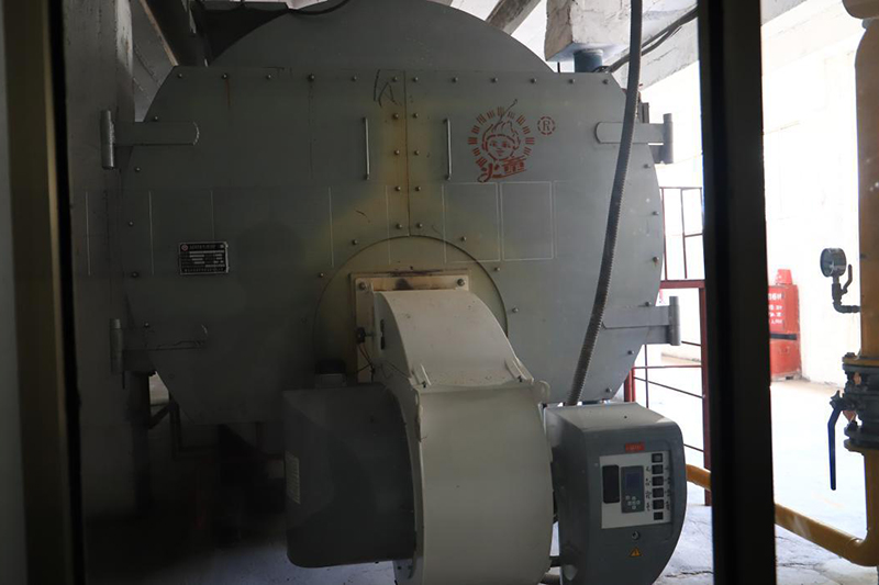 Rubber industry 10 tons WNS series condensing gas steam boiler