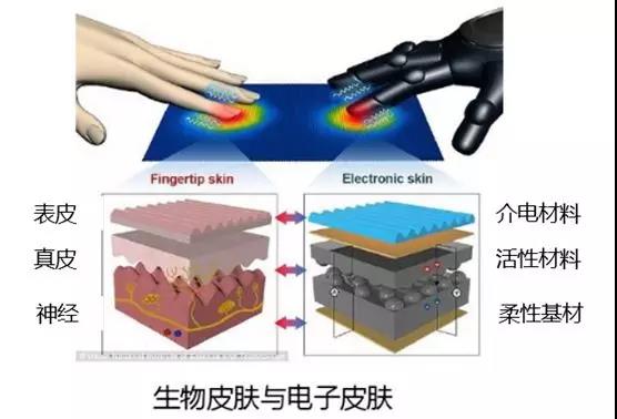 An important application of flexible electronics: electronic skin